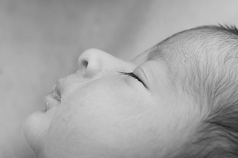 IMG_6579bw.jpg