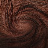 IMG_7190