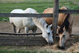 IMG_9048