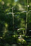 IMG_9069