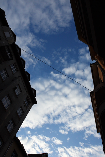 IMG_9145.JPG