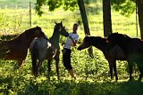 IMG_8583
