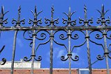 IMG_0446