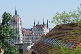 IMG_0461