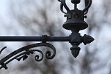 IMG_7392