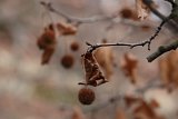 IMG_7400