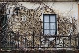 IMG_1640
