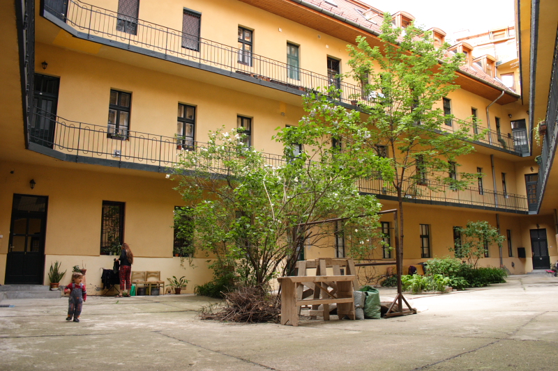 CRW_0137.JPG