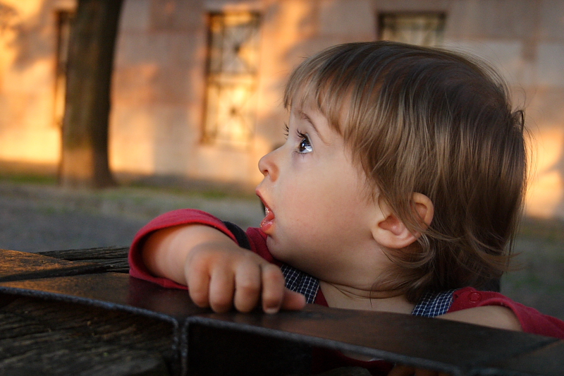 CRW_0173.JPG