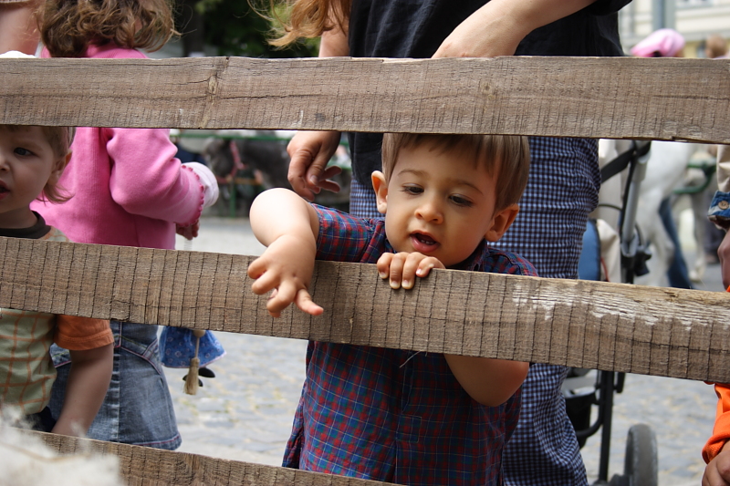CRW_0326.JPG