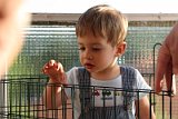IMG_7902