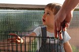 IMG_7903