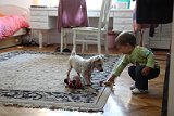 IMG_8083