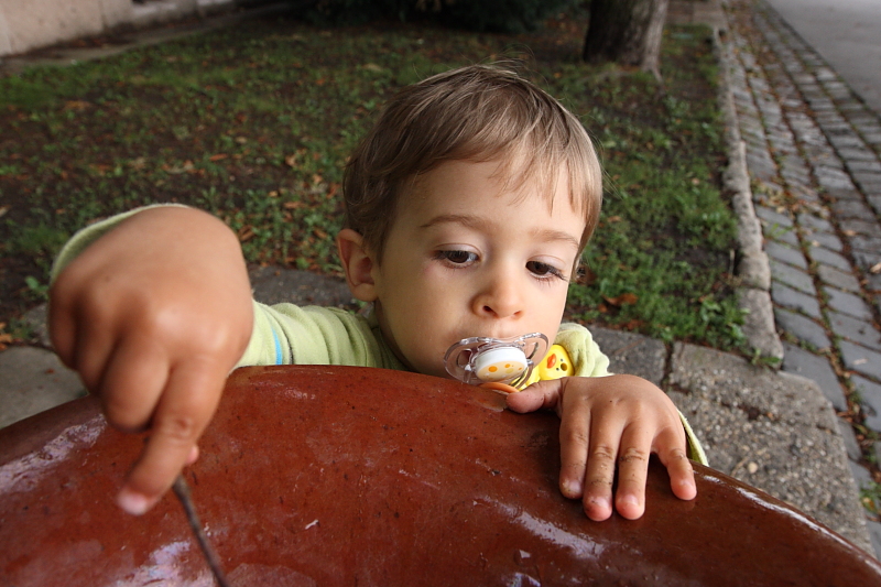 IMG_8220.JPG