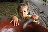 IMG_8215