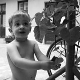 IMG_8606