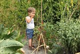 IMG_8886