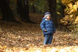 IMG_2331