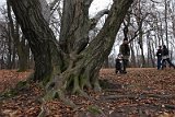 IMG_2680