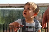 IMG_7901