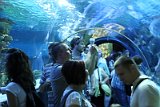 IMG_5585