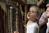 IMG_5597