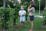 IMG_5728