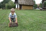IMG_6282