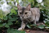 IMG_7155