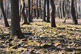 IMG_8143