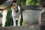 IMG_6497
